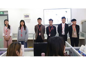 企業數字化突圍 山東鼎基信息技術打造臨沂網站建設與推廣新標桿